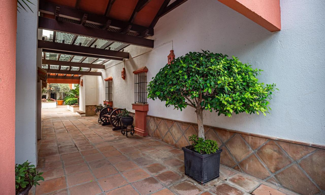 Modern Apartment - 2 Bedrooms, Beachside - Puerto Banus Marbella Eksteriør billede